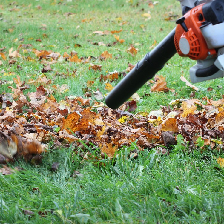 Landscaping services in Plano, TX