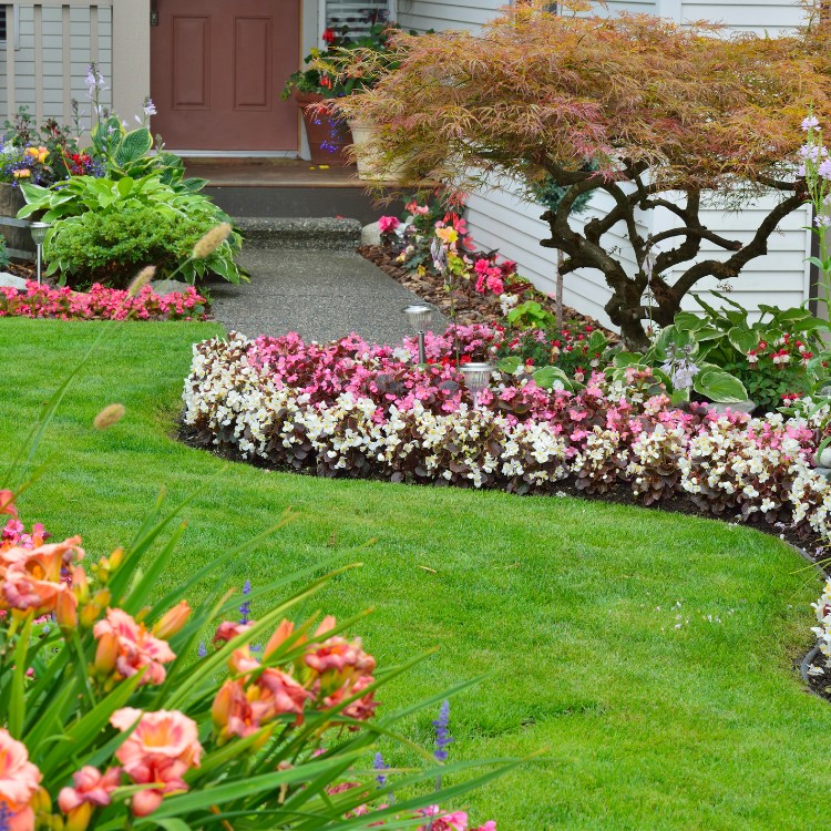 Landscaping services in Plano, TX Landscaping services in Plano, TX