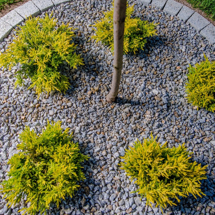 Landscaping services in Plano, TX Landscaping services in Plano, TX