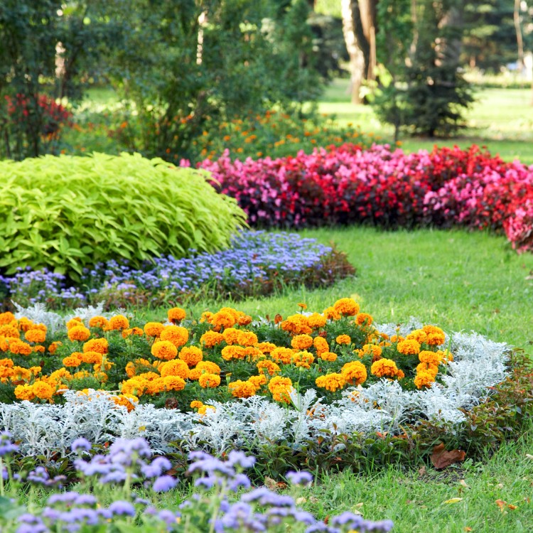 Landscaping services in Plano, TX