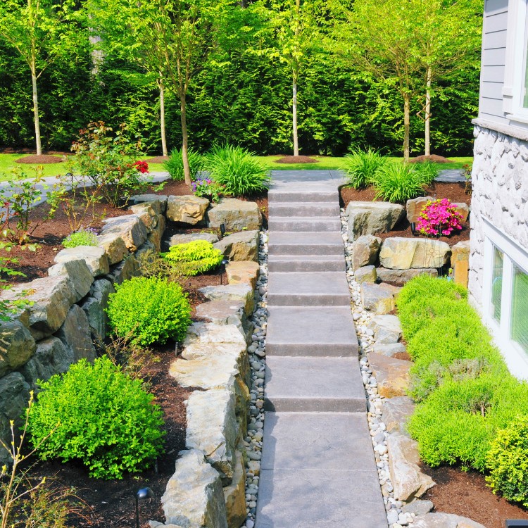 Landscaping services in Plano, TX Landscaping services in Plano, TX