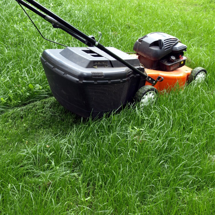 Landscaping services in Plano, TX Landscaping services in Plano, TX