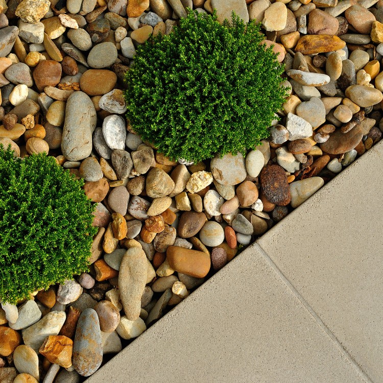 Landscaping services in Plano, TX Landscaping services in Plano, TX