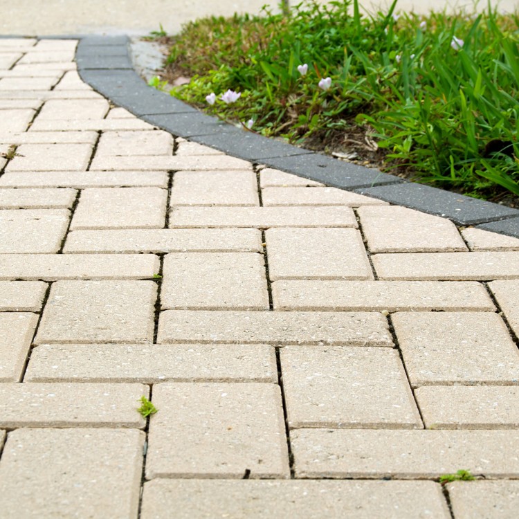 Landscaping services in Plano, TX