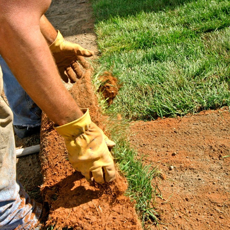 Landscaping services in Plano, TX