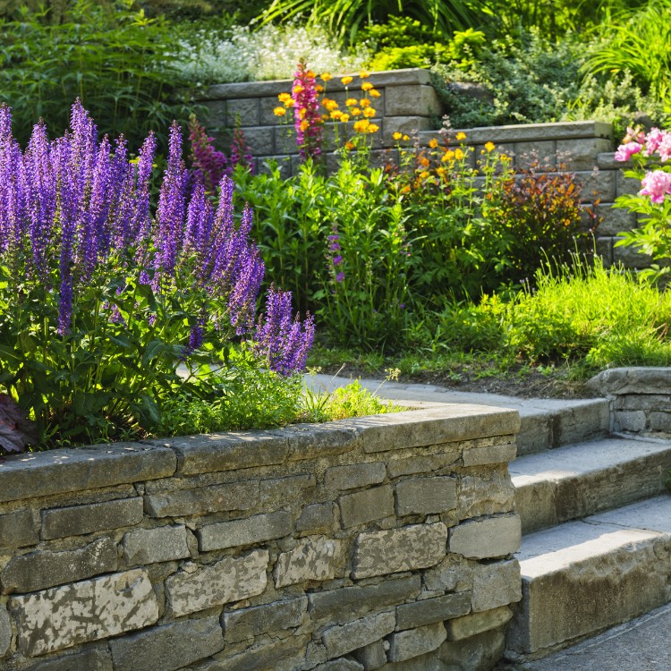 Landscaping services in Plano, TX