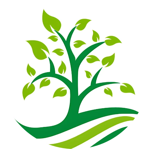 Plano Landscape Company Plano Landscape Company