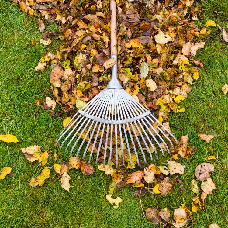 Landscaping services in Plano, TX