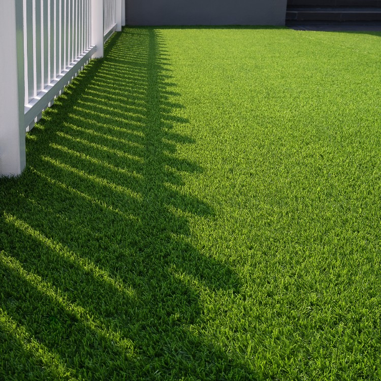 Landscaping services in Plano, TX Landscaping services in Plano, TX