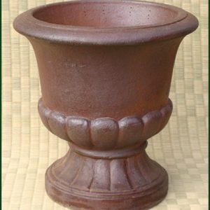 Cham Cup