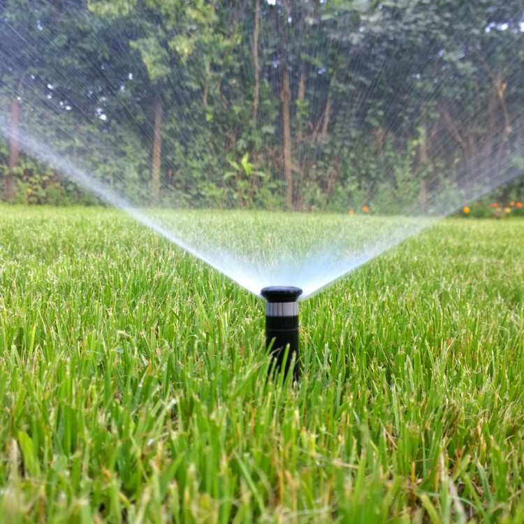 Landscaping services in Plano, TX