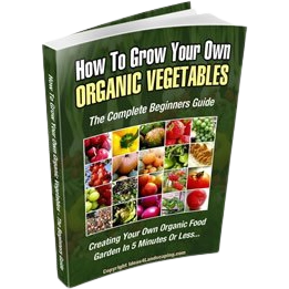 grow-your-own-organic-vegetables