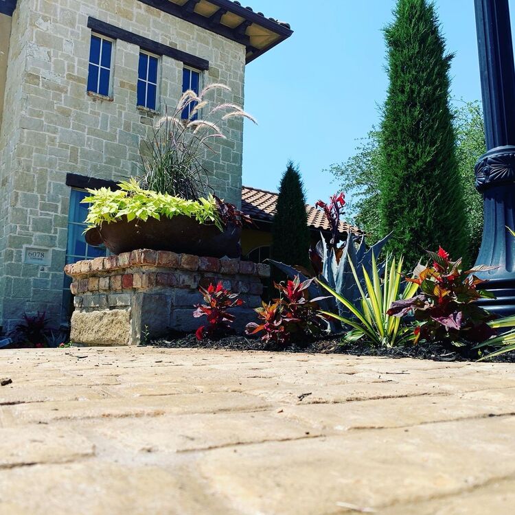 Landscaping services in Plano, TX