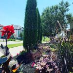 Landscaping services in Plano, TX