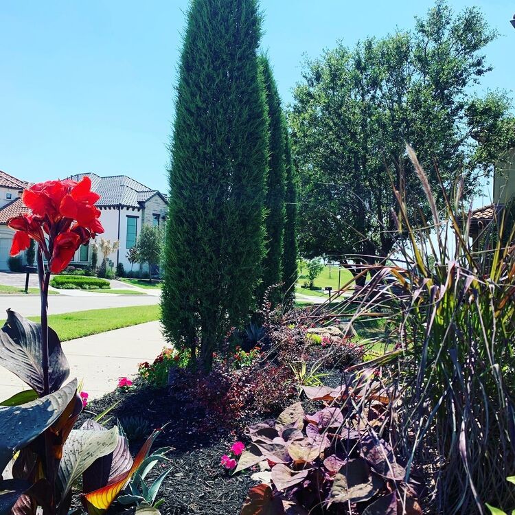 Landscaping services in Plano, TX